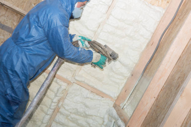 Best Attic Insulation Installation  in Ford City, CA